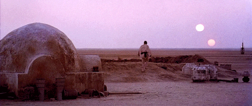 Skywalker, Still Looking To The Horizon. Never Here, Now, Hmm?