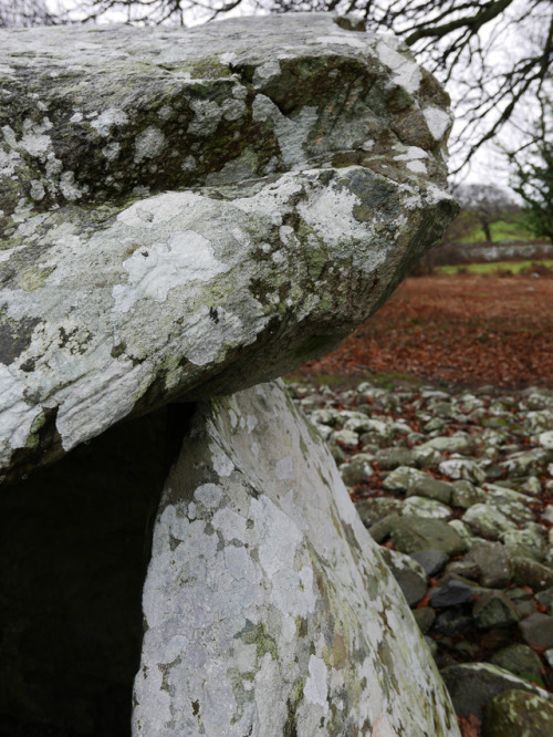 Dyffryn Ardudwy Neolithic Burial Chambers, near Barmouth, North Wales, 20.1.18.Two Neolithic chamber