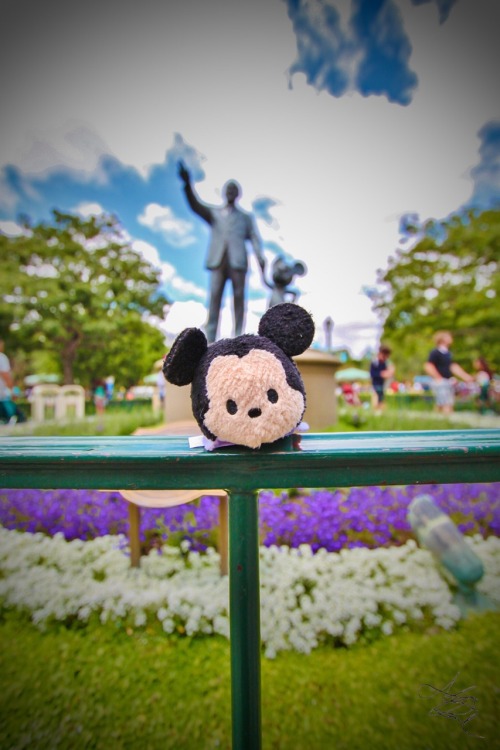 thatoneguyadrien:“Disneyland is your land”