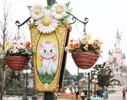 Disneyland Paris ‘Swing into Spring’ throwback - March 2016. Spot Chip and Dale walking to their m