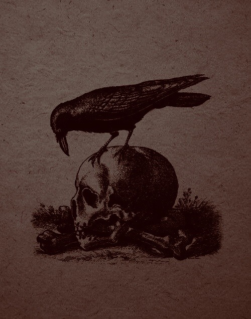 carboxamide-acid:The Vvitch.