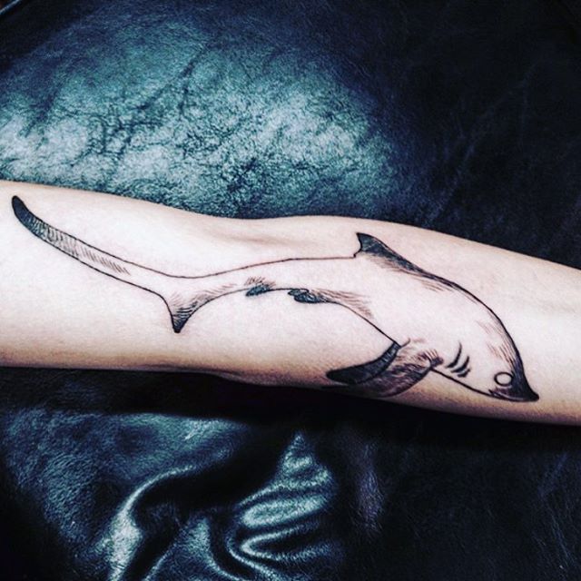 Thresher Shark Simple but I really like it Done by Robb at Black Sea  Tattoo Manchester UK  Tattoos Tribal shark tattoos Body art tattoos