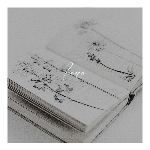 aliciaspinnte:  @hpeditsnet​ creation event ✧ get to know our members week    &n