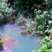 kaijuno:Top 10 bodies of water I want to drown in1. 2.3.4.5.6.7.8.9.10.