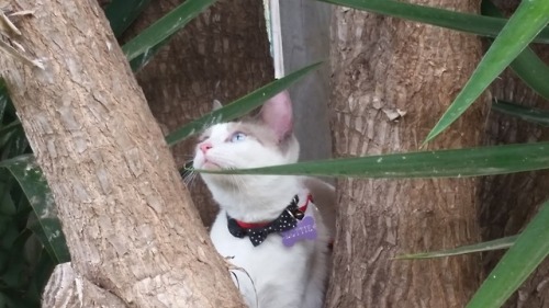 shes birdwatching