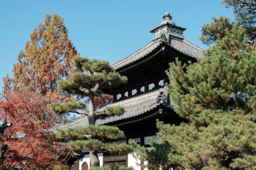  Tofukuji .Kyoto (2020)東福寺 京都市東山区