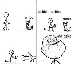 open-minds-make-the-difference:  Gato culiao :’c 