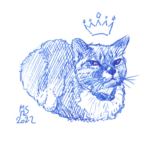 scarlet-sasquatch:kinoumenthe: (Not) Random Cat Doodle 28/32 (yeah I finally decided on a number)A d