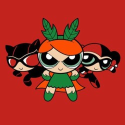 #powerpuffgirls #catwoman #poisonivy #harleyquinn #buttercup #blossom #bubbles #mashup #dccomics