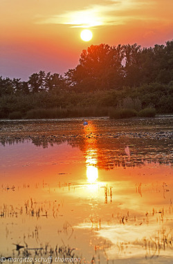 phototoartguy:  sunset, tramonto… by margit-luitpold2005 on Flickr.sunset, tramonto…