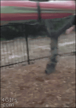4gifs:  We’ll tie your arms inside the