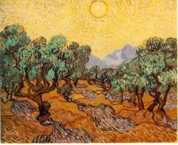 picassofanclub:  Olive Trees, Van Gogh