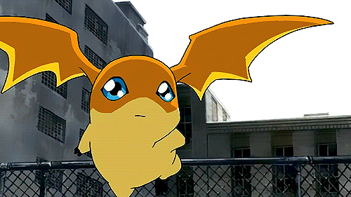 coalgirls: katahane:  coalgirls:  pikachu can fly ?  its the new mega pikachu  new ORAS leak: mega pikachu 