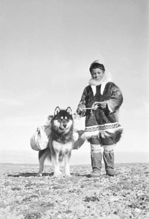 darkwood-sleddog:Pack dog and boy. Spence Bay, Nunavut Canada. 1951Library and Archives Canada