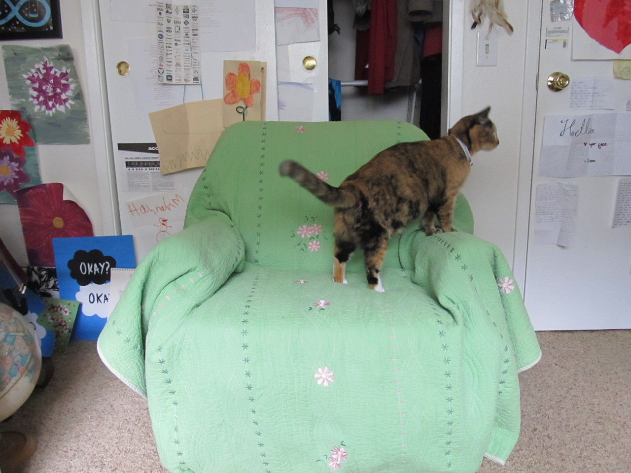 Apparently I’m not the only one who likes my new reading chair