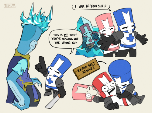 The Castle Crashers Experience