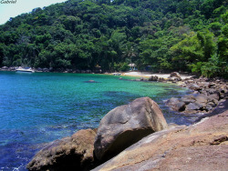 tropisphere:  Couves Island, Brazil