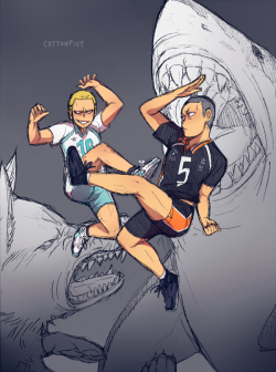 cottonfist:   kyoutani becoming more sociable and learning how to properly rival tanaka (shamefully was laughing mid finishing first piece thinking “man, if a dog fought a shark would that be fucked up or what”)