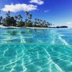 foreverchampagneiglikes:  POST-TAHITI DEPRESSION,