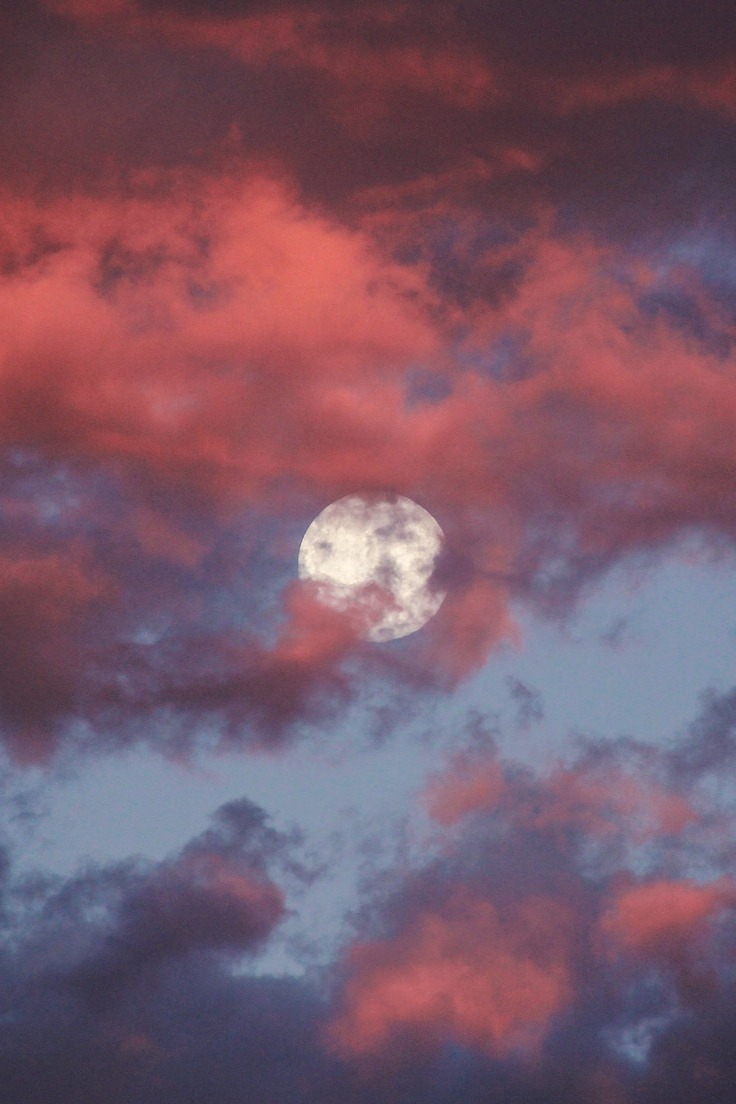 r2&ndash;d2:  Sunset Moon by (Buck--Fever) 