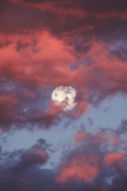 r2–d2:  Sunset Moon by (Buck--Fever)