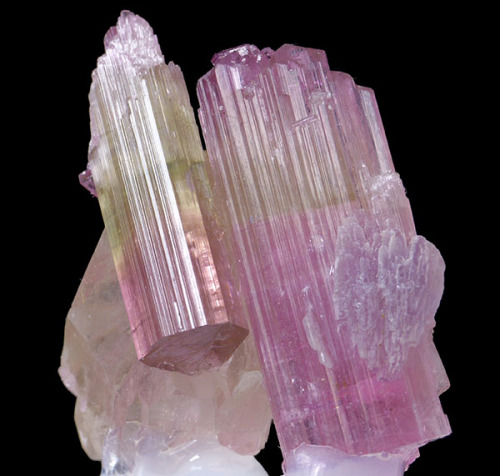 fuckyeahmineralogy:  Tourmaline; Himalaya Mine, Gem Hill, California
