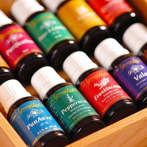 Essential Oil Basics