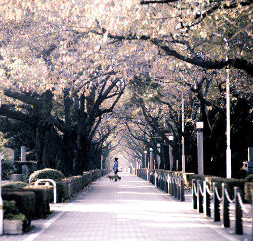 lvndcity: rustling #4 by kkzyk (2009) Tokyo, Japan