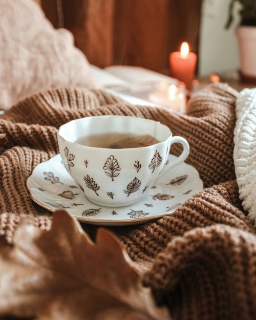 autumn-cosy:A N N A