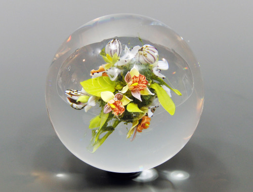 Paphiopedilum and Cymbidium Orchids Orb, Paul StankardFlameworked, encased glass, 5″, 2003