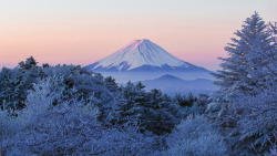 1l1l: 富士山冬色 Mt Fuji winter color,