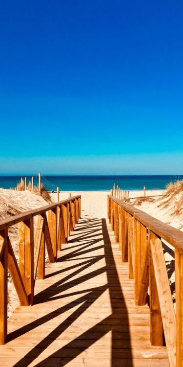 Wooden dock, sea, beach, sunny day, 1080x2160 wallpaper @wallpapersmug : https://ift.tt/2FI4itB - ht