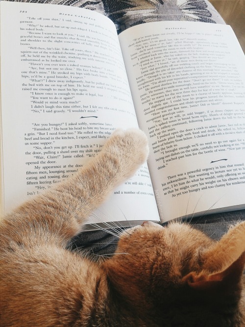 b00kishfantasy: Oh were you reading that part? Oh that’s too bad my paw is on it now, what are you g
