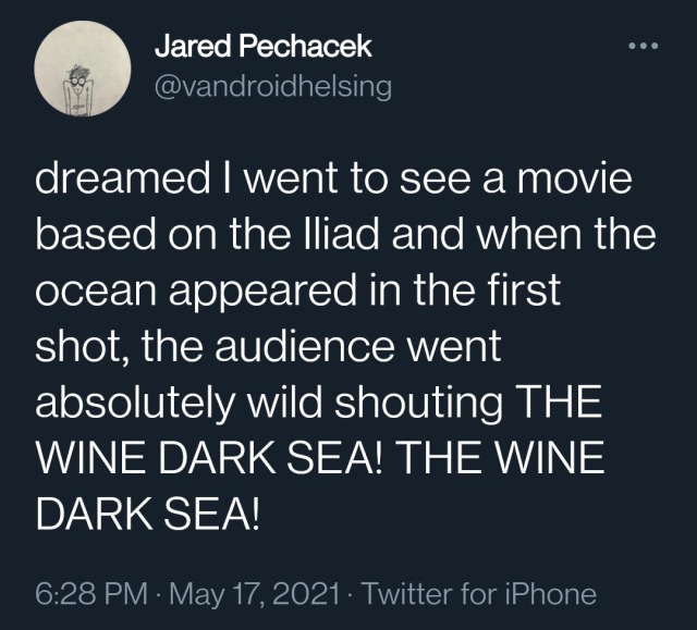 dreamed I went to see a movie based on the Iliad and when the ocean appeared in the first shot, the audience went absolutely wild shouting THE WINE DARK SEA! THE WINE DARK SEA!