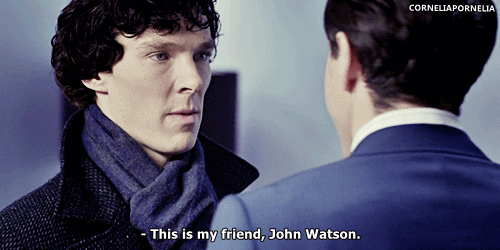ughbenedict:  corneliapornelia:  It’s actually really cute how fast he grows attached