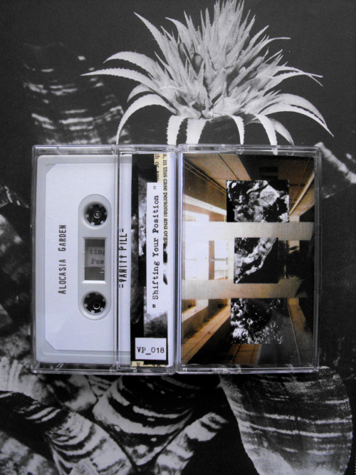 ALOCASIA GARDEN “Shifting Your Position” C30 OUT NOW&lsquo;Tape recordings from Malmo, Sweden by Alo
