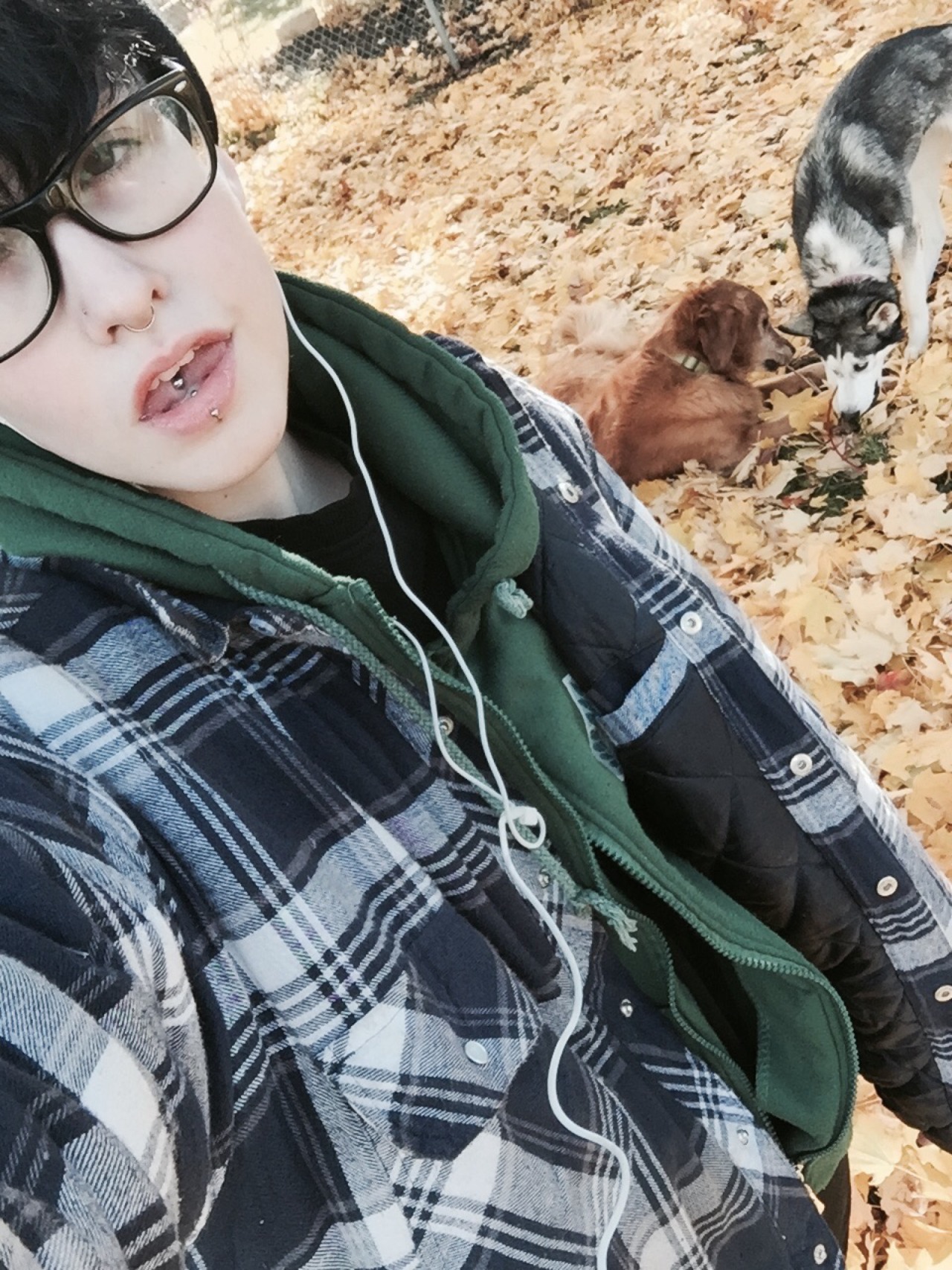 wrecklessfox:  melloficient:  Stacking up wood and drinking timmies like the good