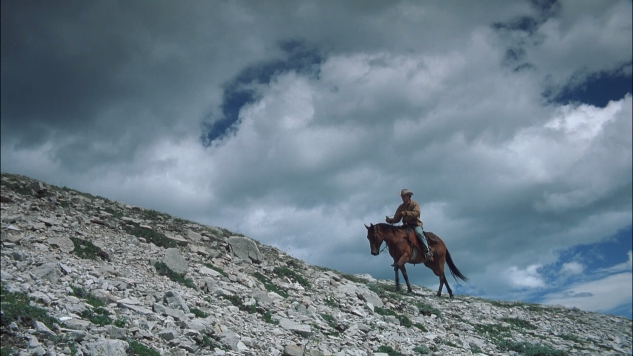 net-flickss:  Brokeback Mountain // Ang Lee (2005) 
