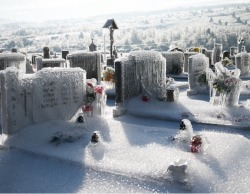 sixpenceee:This graveyard is located in Slovenia. It looks frozen because of freezing rain. Freezing rain is rain that falls when surface temperatures are below freezing. It is made entirely of liquid droplets. 