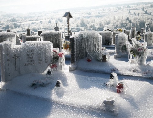 sixpenceee: This graveyard is located in Slovenia. It looks frozen because of freezing rain. Freezin