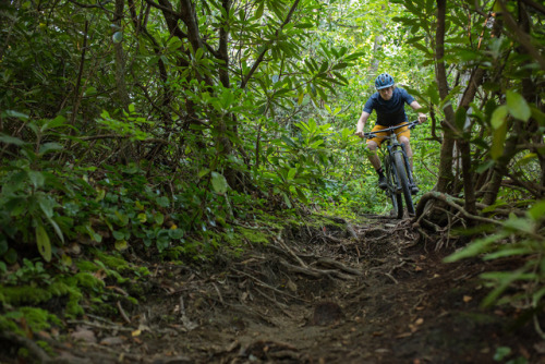 tsurun:(via First Ride: 2019 Specialized Epic EVO - Pinkbike)