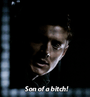 Dean meme: quote → Son of a bitch!