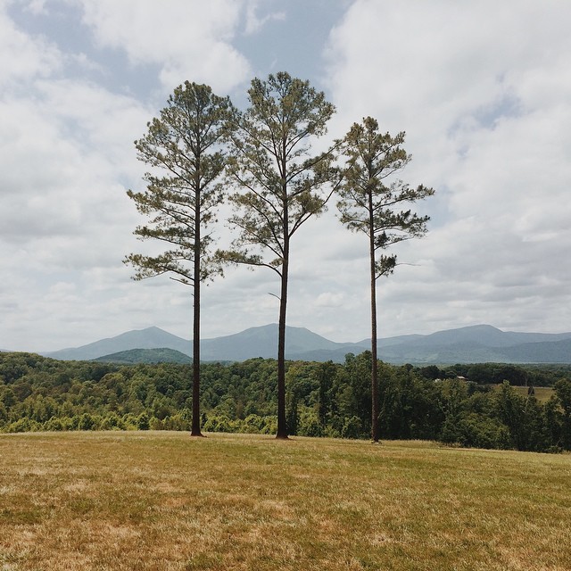 🌲🌲🌲| #virginia #blueridge #vsco #vscocam (at Sierra Vista VA)