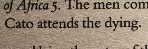 garland-on-thy-brow: tibgracchus:finished civil war! more weird lucan: 1) the size of the republican