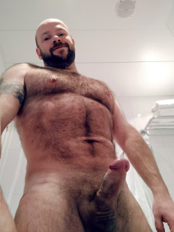 hunghairybear