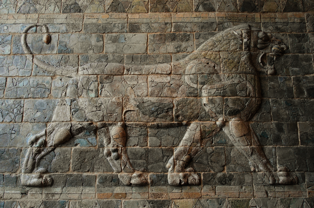 canisalbus:  Lion frieze from the Palace of Darius I