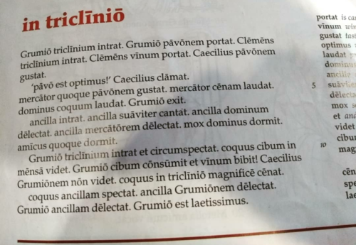 nouanced: literal excerpt from my latin workbook where this guy is flirting with his maid and then h