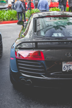 thephotoglife:  Carbon R8