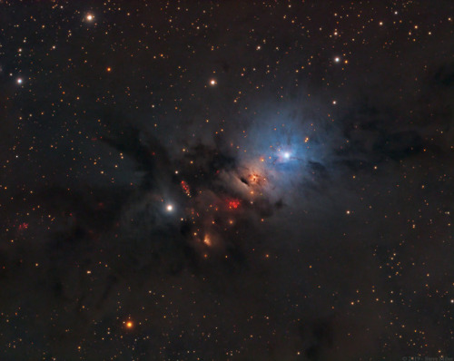 NGC 1333: Stellar Nursery in Perseus 