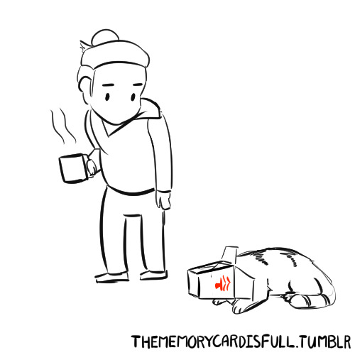 thememorycardisfull:  The Answer 